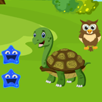 Games4King Green Turtle Rescue Walkthrough